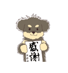 トイプードルのアポロ（個別スタンプ：8）
