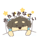 トイプードルのアポロ（個別スタンプ：9）