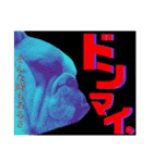 ブルドッグの玉丸です♡癒しと茶目の塊。（個別スタンプ：26）