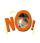 愛犬チョロ（個別スタンプ：3）
