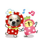 愛犬チョロ（個別スタンプ：24）