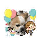 愛犬チョロ（個別スタンプ：37）