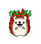 ヒゲハリネズミ（個別スタンプ：12）