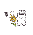 パンとイッヌ（個別スタンプ：26）