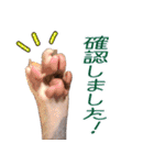 スフィンクスのフィオくん 第二弾！（個別スタンプ：6）