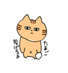 あごの白いねこ2（個別スタンプ：7）