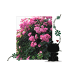flower by  mokkun（個別スタンプ：8）