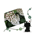 flower by  mokkun（個別スタンプ：12）