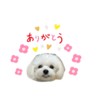 ちょーち（個別スタンプ：2）