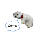 ちょーち（個別スタンプ：7）