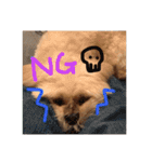 愛犬グミスタンプ（個別スタンプ：6）