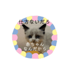 煽りデブ猫ラス（個別スタンプ：2）
