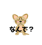わらしねこ（個別スタンプ：3）