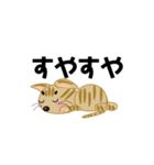 わらしねこ（個別スタンプ：4）