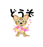 わらしねこ（個別スタンプ：5）