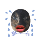 サビ猫チェミー（個別スタンプ：3）