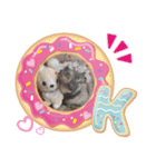 サビ猫チェミー（個別スタンプ：4）