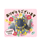 サビ猫チェミー（個別スタンプ：7）
