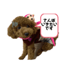 ☆amu☆（個別スタンプ：3）