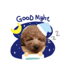 ☆amu☆（個別スタンプ：4）