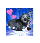 はな・ぴよ（個別スタンプ：1）