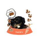 はな・ぴよ（個別スタンプ：3）
