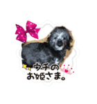 はな・ぴよ（個別スタンプ：6）