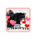 はな・ぴよ（個別スタンプ：8）