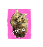 トムちゃんマン（個別スタンプ：3）