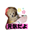 ナラファミリー4（個別スタンプ：1）