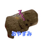 ナラファミリー4（個別スタンプ：2）