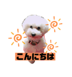 ナラファミリー4（個別スタンプ：3）