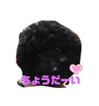 ナラファミリー4（個別スタンプ：4）