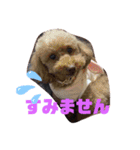 ナラファミリー4（個別スタンプ：8）