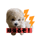 ナラファミリー4（個別スタンプ：10）