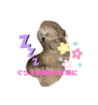 ナラファミリー4（個別スタンプ：11）