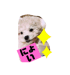ナラファミリー4（個別スタンプ：12）