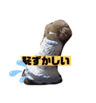 ナラファミリー4（個別スタンプ：13）