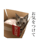 くりまる（個別スタンプ：6）