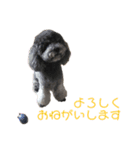 Hello mahalo（個別スタンプ：6）