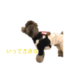 Hello mahalo（個別スタンプ：9）
