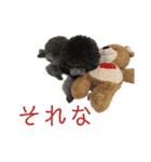 Hello mahalo（個別スタンプ：14）