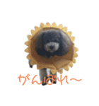 Hello mahalo（個別スタンプ：16）