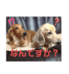 りずむ＆かのん＆じゃむ（個別スタンプ：1）