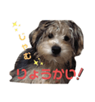 りずむ＆かのん＆じゃむ（個別スタンプ：4）