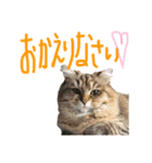 るなさらの日常（個別スタンプ：4）