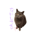 るなさらの日常（個別スタンプ：5）