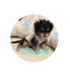 はち②（個別スタンプ：5）