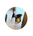 はち②（個別スタンプ：7）