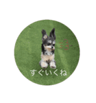 はち②（個別スタンプ：9）